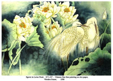 A26 Egrets In The Lotus Pond